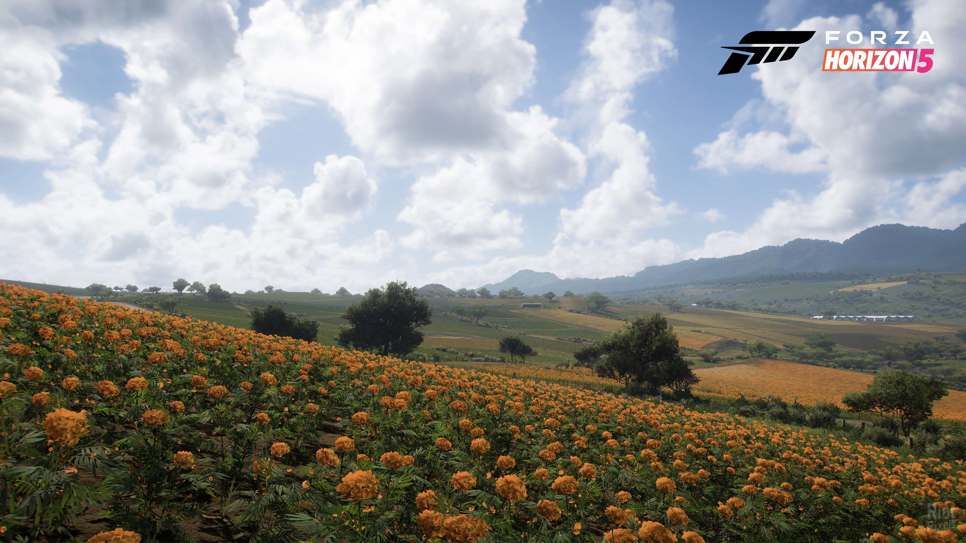 Forza Horizon 5: Premium Edition